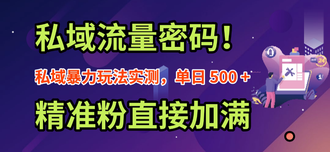 私域流量密码！私域暴力玩法实测，单日 500 + 精准粉直接加满-我爱项目网