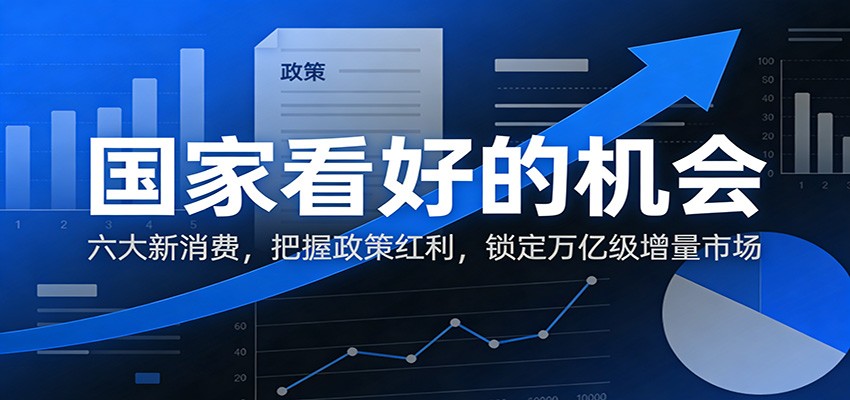 公众号付费文章：国家看好的机会，六大新消费，把握政策红利，锁定万亿级增量市场-我爱项目网