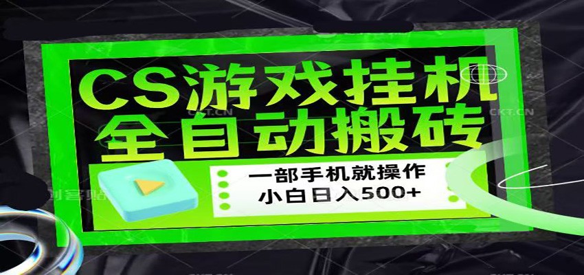 CSGO游戏挂机捡漏搬砖，超稳定的项目，带领1000+小白实现日入500+-我爱项目网