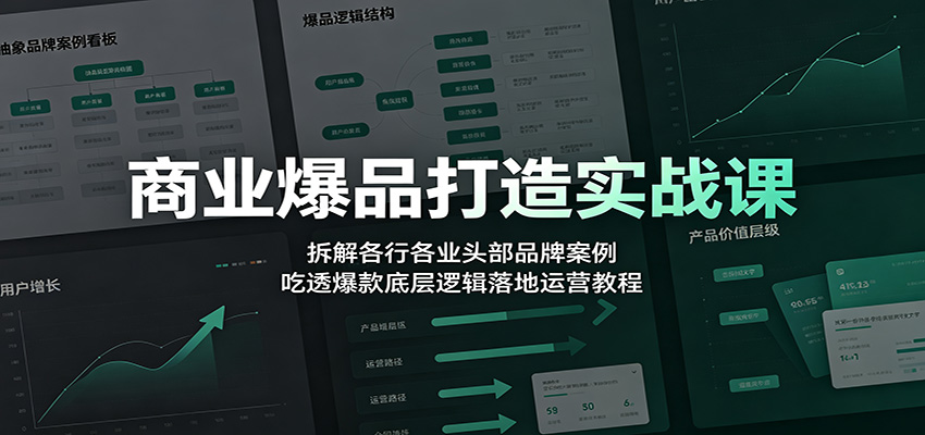 商业爆品打造实战课：拆解各行各业头部品牌案例，吃透爆款底层逻辑落地运营教程-我爱项目网
