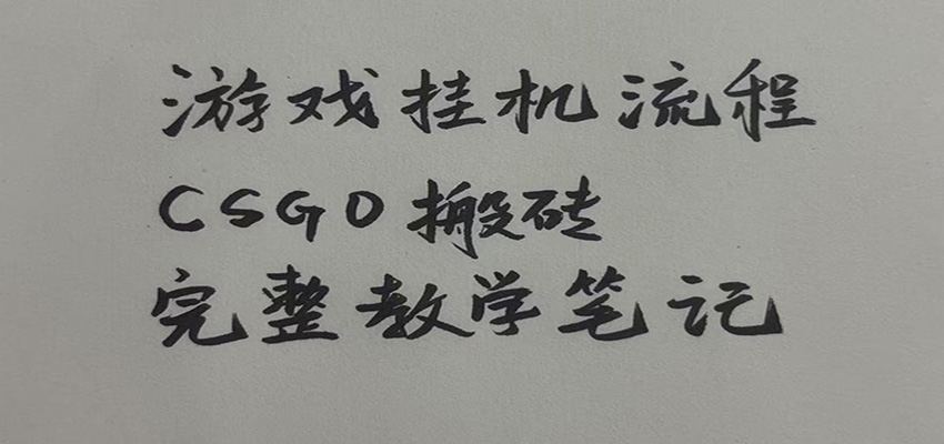 游戏挂机全流程笔记分享，CSGO游戏搬砖，小白看了当天学会见收益-我爱项目网