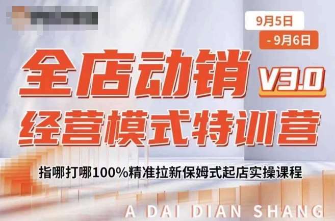 全店动销经营模式特训营,指哪打哪100%精准拉新保姆式起店实操课程-我爱项目网