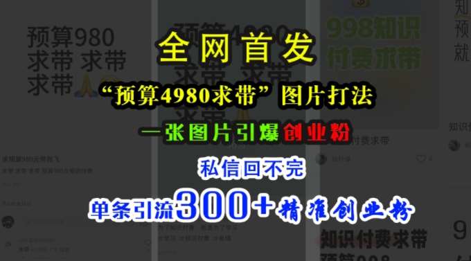 小红书“预算4980带我飞”图片打法,一张图片引爆创业粉,私信回不完,单条引流300+精准创业粉-我爱项目网
