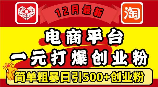 12月最新：电商平台1元打爆创业粉，简单粗暴日引500+精准创业粉，轻松月入过W【揭秘】-我爱项目网