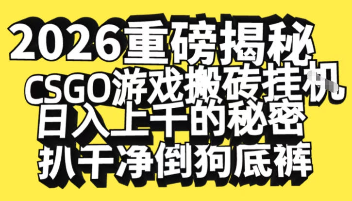 2026开年重磅解密，CSGO游戏搬砖挂G日入1k+的秘密，把倒狗的底裤扒干【揭秘】-我爱项目网
