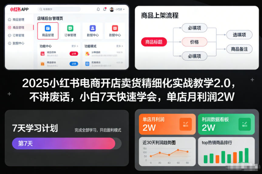 2025小红书电商开店卖货精细化实战教学2.0，不讲废话，小白7天快速学会，单店月利润2W-我爱项目网
