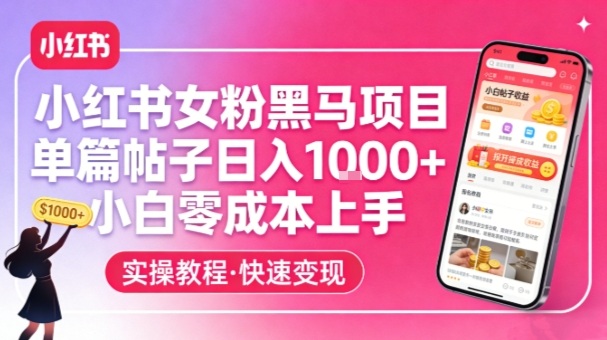 小红书女粉黑马项目，单篇帖子日入1k+，小白零成本上手-我爱项目网