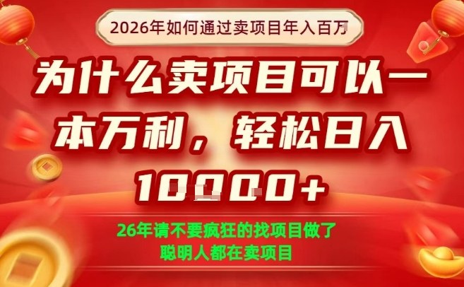 一单净利润1K+，26年想年入100个W，死磕卖项目就够了【揭秘】-我爱项目网
