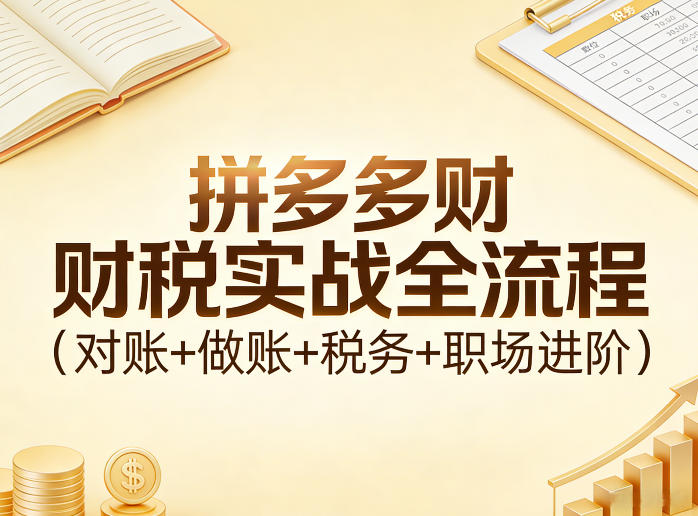 拼多多财税实战全流程（对账+做账+税务+职场进阶）-我爱项目网