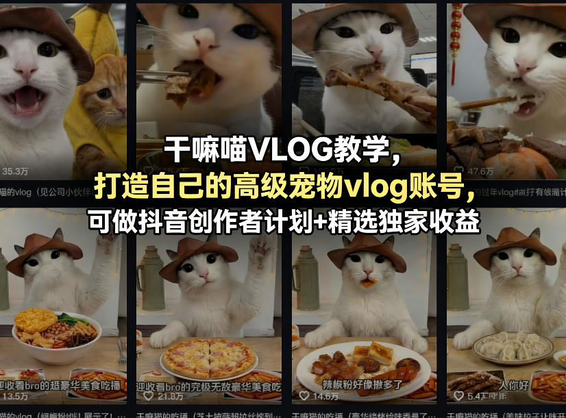 干嘛喵VLOG教学，打造自己的高级宠物vlog账号，可做抖音创作者计划+精选独家收益-我爱项目网