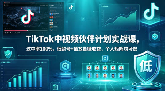 TikTok中视频伙伴计划实战课，过中率100%，低封号+播放量賺收益，个人矩阵均可做-我爱项目网