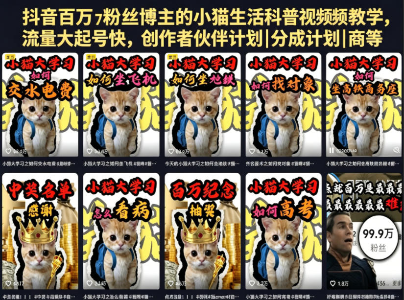 抖音百万粉丝博主的小猫生活科普视频教学，流量大起号快，创作者伙伴计划|分成计划|商单|收徒等-我爱项目网