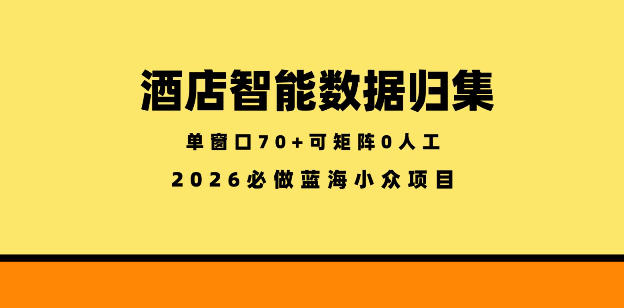 酒店智能数据归集,小众蓝海已经稳定半年之久,单窗口70+零成本矩阵开干【揭秘】-我爱项目网