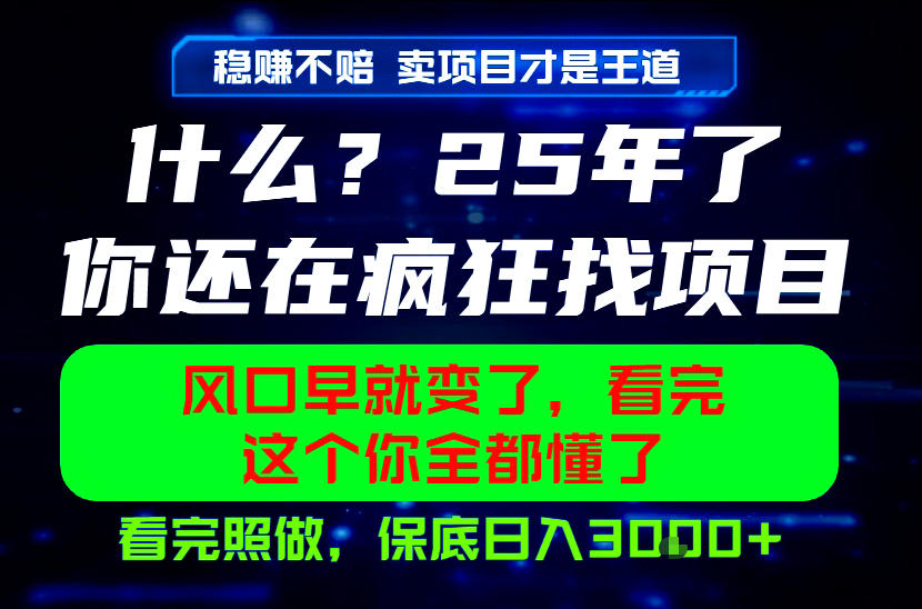 26年，请不要疯狂的找项目做了！卖项目才是真的稳賺不赔，看完照做，保底日入1k+【揭秘】-我爱项目网
