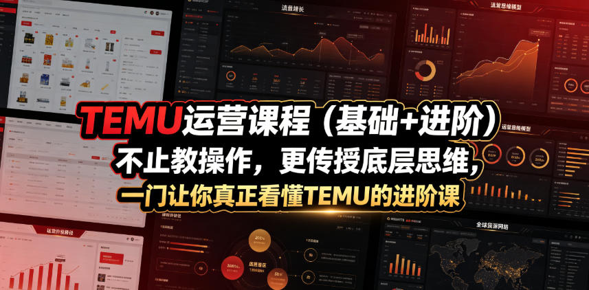 TEMU运营课程（基础+进阶），不止教操作，更传授底层思维，一门让你真正看懂TEMU的进阶课-我爱项目网