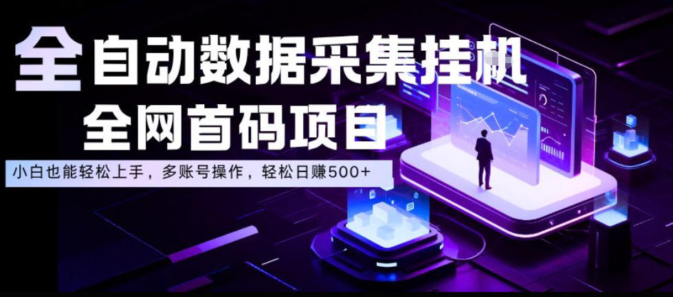 全自动数据采集挂G，全网首码项目，简单易操作，小白也能轻松上手，多账号操作，轻松日入500+【揭秘】-我爱项目网