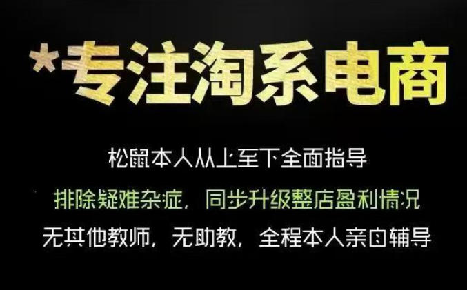 松鼠会电商VIP课程,从基础布局到高阶优化,助你掌握淘宝运营逻辑,提升店铺流量与转化-我爱项目网