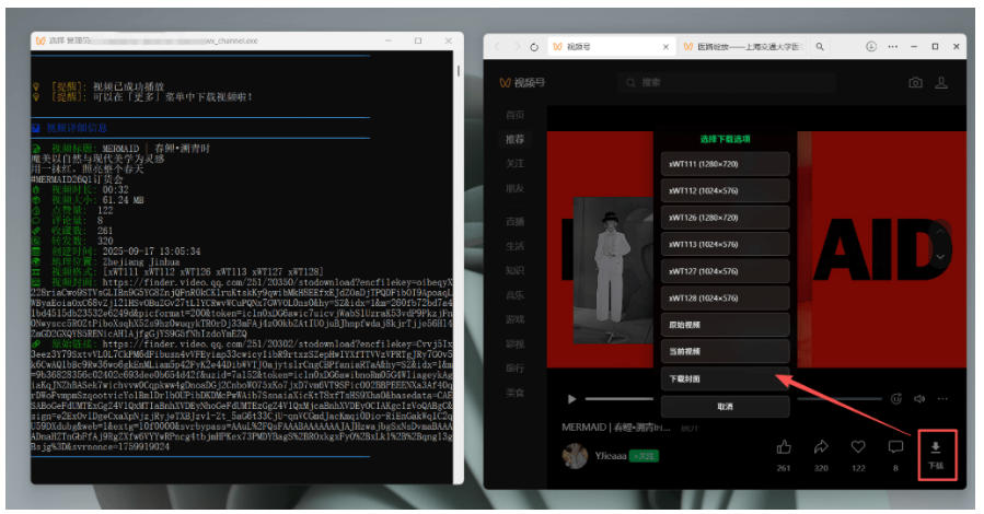图片[4]-Github热门工具，视频号下载神器又来了！一键注入下载按钮，轻松下载，使用便捷wx_channel-我爱项目网