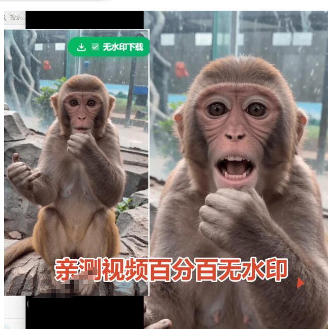 图片[2]-豆包无水印下载终于来了！支持豆包图片/视频，目前唯一免费使用的插件，浏览器拓展-我爱项目网