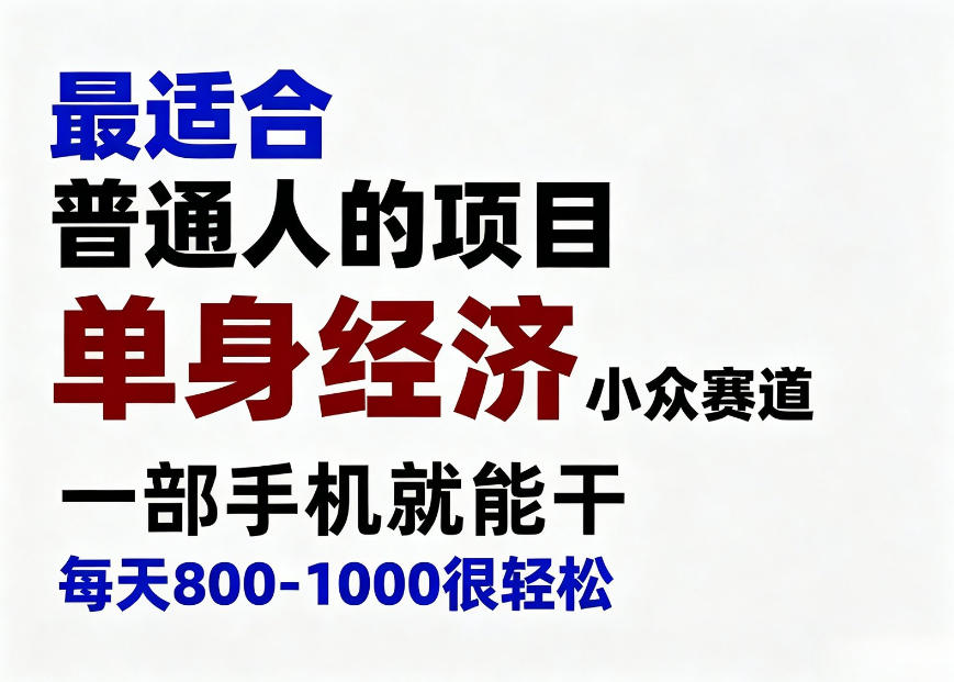 身经济小众赛道，一部手机就能干，每天搞个800-1000很轻松，最适合普通人的项目【揭秘】-我爱项目网