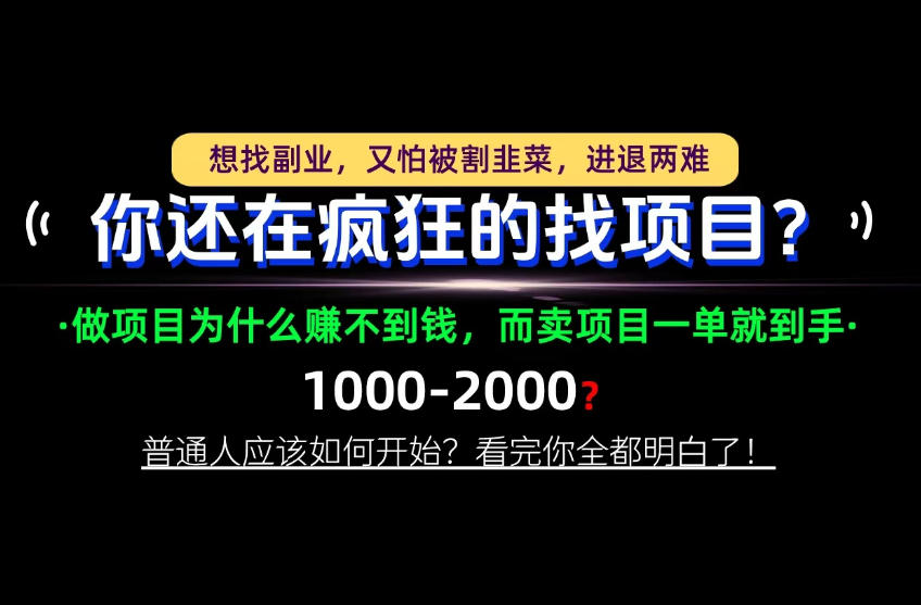 你还在疯狂的找项目？别傻了！卖项目才是真正的一本万利！怎么做，看完你全都明白！【揭秘】-我爱项目网