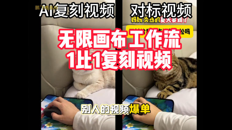 宠物带货视频复刻，无限画布工作流1比1，不用拍摄、不用布景、不用真人出镜，几分钟就能做出一条专业带货视频-我爱项目网
