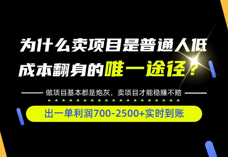 普通人如何靠互联网賺取自己的第一桶金！全类目实操型教学，看完你全都懂了！【揭秘】-我爱项目网