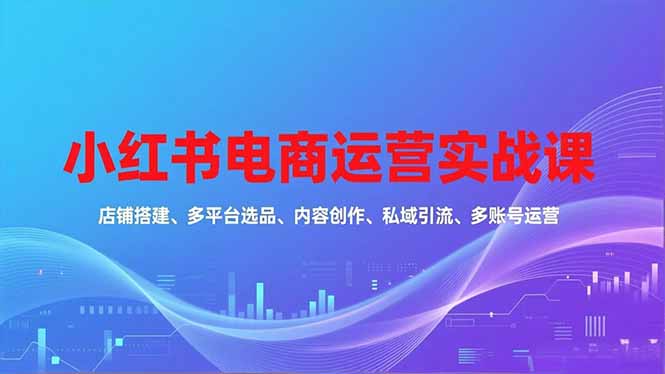 （16695期）小红书电商运营实战课，店铺搭建、多平台选品、内容创作、私域引流、多账号运营等玩法-我爱项目网