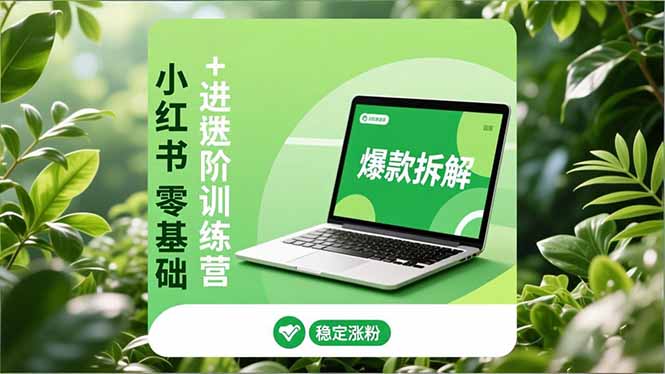 （16801期）小红书零基础+高阶训练营：安全养号、爆款拆解、长效运营，实现稳定涨粉与变现-我爱项目网