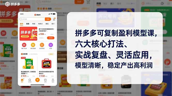 （16952期）拼多多可复制盈利模型课，六大核心打法、实战复盘、灵活应用，模型清晰，稳定产出高利润-我爱项目网
