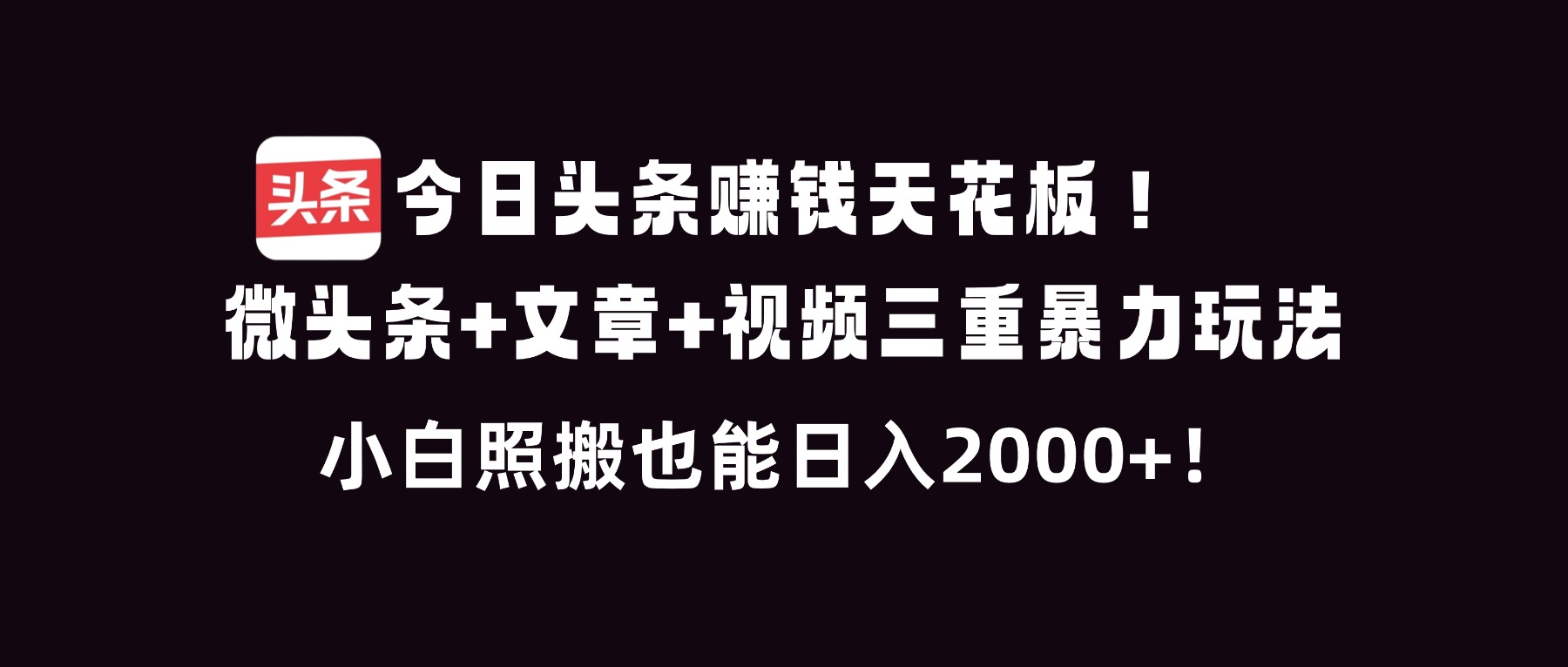 （16888期）今日头条赚钱天花板！微头条+文章+视频三重暴利玩法，小白照搬也能日人2000+-我爱项目网