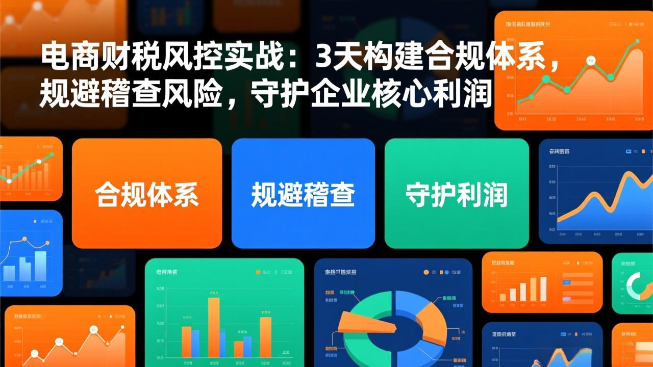 （17197期）电商财税风控实战：3天构建合规体系，规避稽查风险，守护企业核心利润-我爱项目网