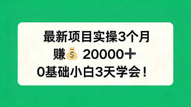 （17856期）最新项目实操3个月，赚钱20000+，0基础小白3天学会！-我爱项目网