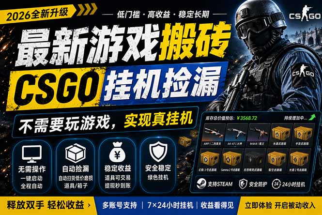 （18182期）最新游戏搬砖，CSGO纯挂机，不需要玩游戏，实现真挂机，月入1W+，五一小高峰上车可吃肉，...-我爱项目网