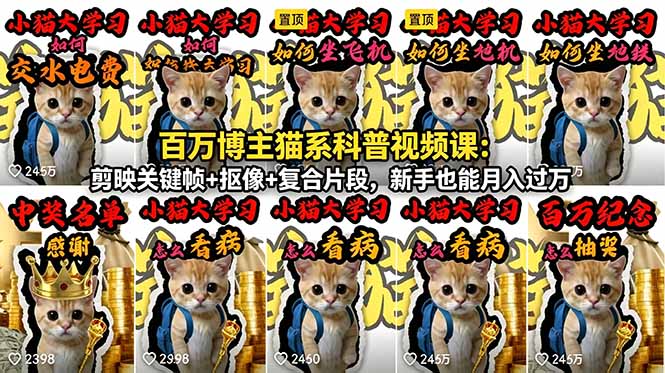 (18595期)百万博主猫系科普视频课:剪映关键帧+抠像+复合片段,新手也能月入过万-我爱项目网