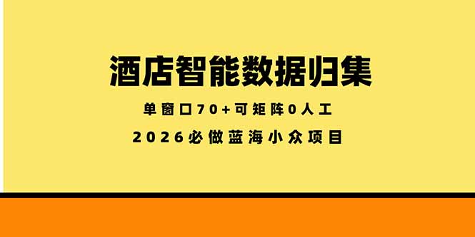 （18500期）酒店智能数据归集，小众蓝海已经稳定半年之久，单窗口70+零成本矩阵开干-我爱项目网