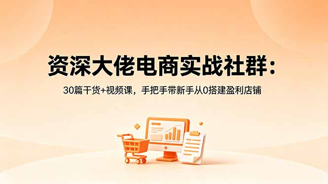 （18529期）资深大佬电商实战社群：30篇干货+视频课，手把手带新手从0搭建盈利店铺-我爱项目网