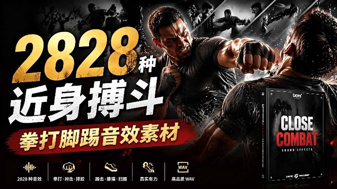 （19072期）宝藏级别音效！2828种近身搏斗拳打脚踢音效素材，全部中文分类，免解压使用  Close Combat-我爱项目网