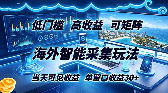 （18955期）海外智能采集玩法，低门槛高单价可矩阵，当天可见收益，单窗口30+-我爱项目网