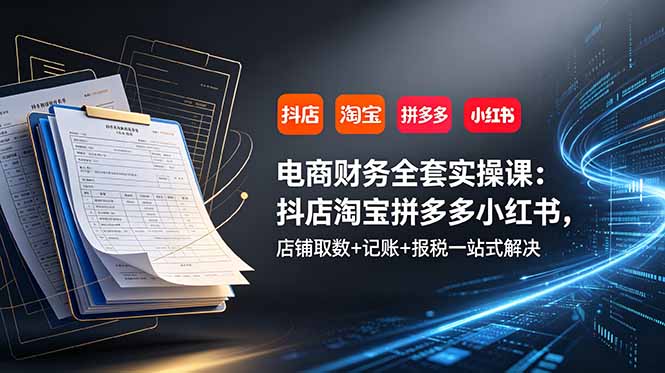 （19001期）电商财务全套实操课：抖店淘宝拼多多小红书，店铺取数+记账+报税一站式解决-我爱项目网