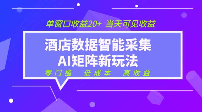 （19041期）2026酒店数据采集ai智能矩阵新风口  低成本   高收益   当天见收益   单窗口20+-我爱项目网