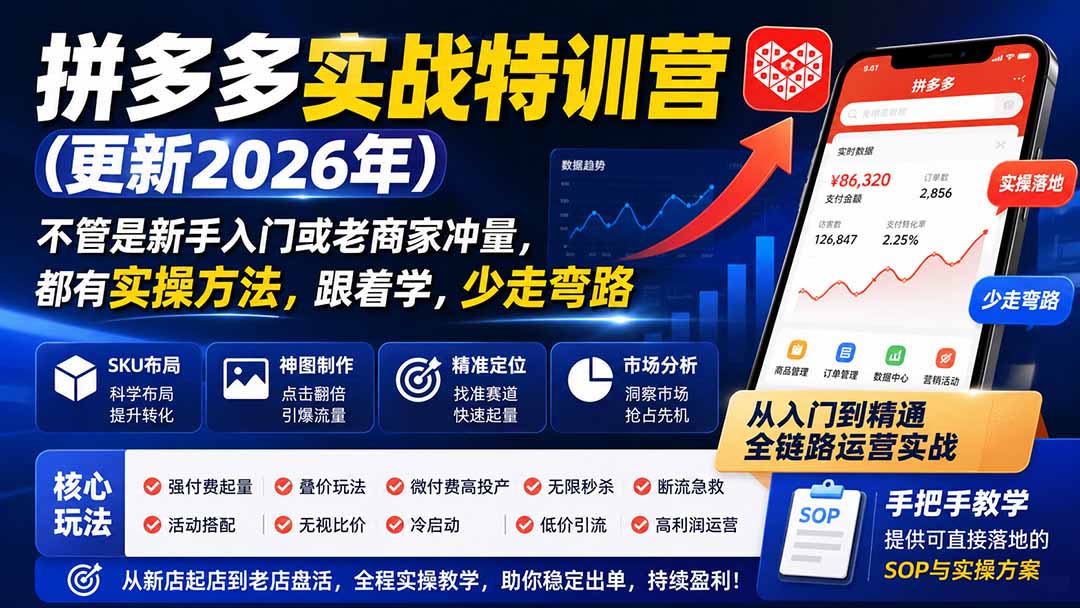 （19744期）拼多多实战特训营(更新2026年)：不管是新手入门或老商家冲量，都有实操方法，跟着学，少走弯路-我爱项目网