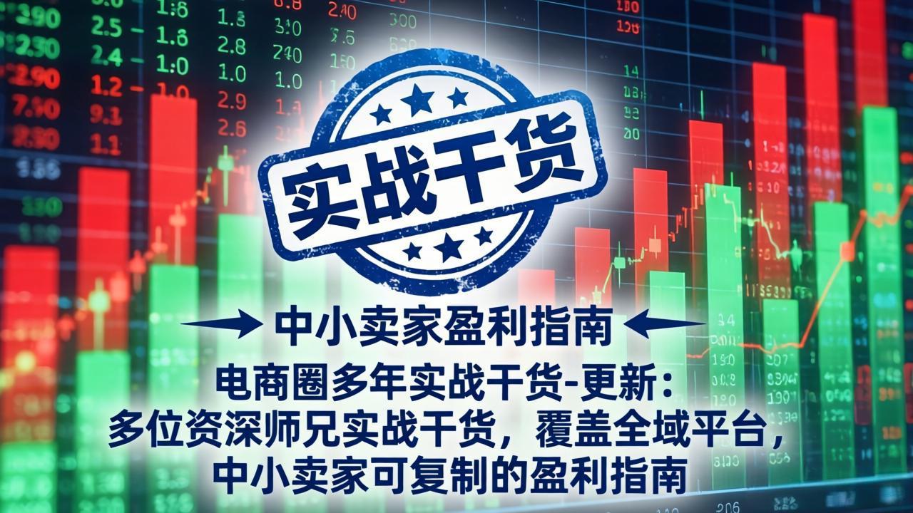 （19761期）电商圈多年实战干货-更新2026：多位资深师兄实战干货/覆盖全域平台，中小卖家可复制的盈利指南-我爱项目网