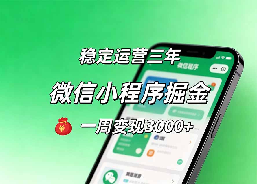 （20077期）月收益稳定1W+的微信小程序，前期积累客户，后期躺平养老，小白轻松上手-我爱项目网