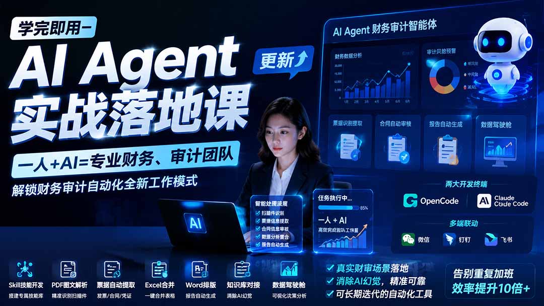 (19702期)学完即用—AI Agent实战落地课-更新:一人+AI=专业财务、审计团队,解锁财务审计自动化全新工作模式-我爱项目网