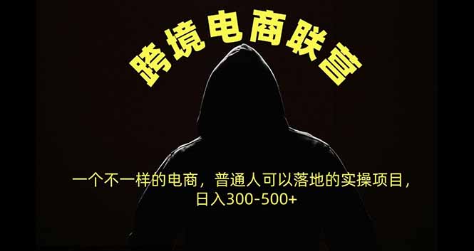 （20702期）跨境电商联营，一个不一样的电商，普通人可操作日入300-500+-我爱项目网