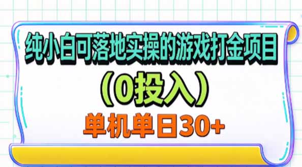 (20993期)纯小白可落地实操的游戏打金项目(0投入)单机单号30+-我爱项目网