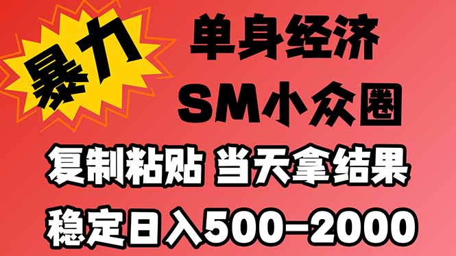 （21205期）26年 最新小众情感赛道，手机操作，十分钟见收益，小白也能当天上手，全程复制粘贴模板即可，稳定日入1k+-我爱项目网